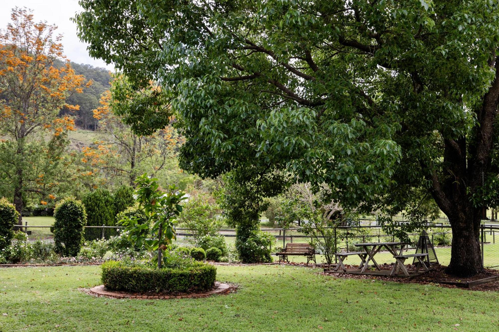 Cottage On Lamington Canungra Exteriör bild